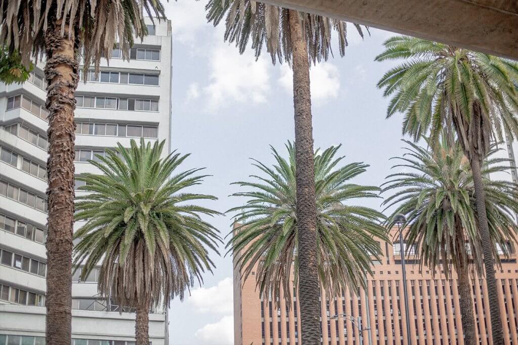 sena-medellin